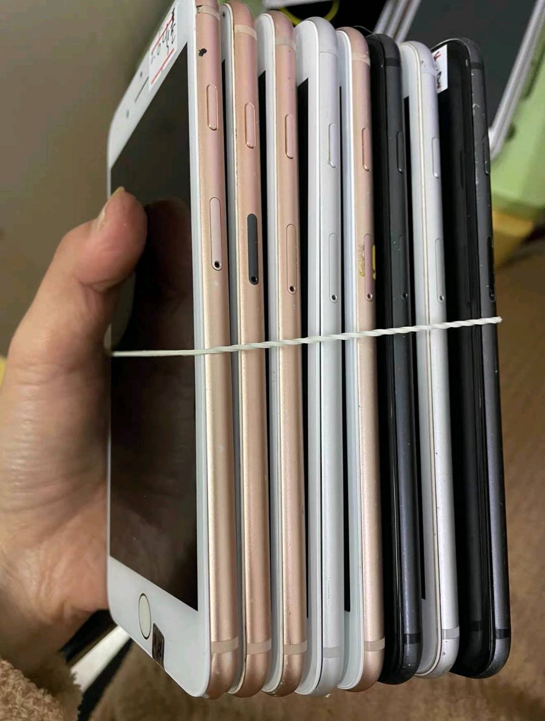 彭晓兰其他供需主营直播设备电脑手机设备租赁