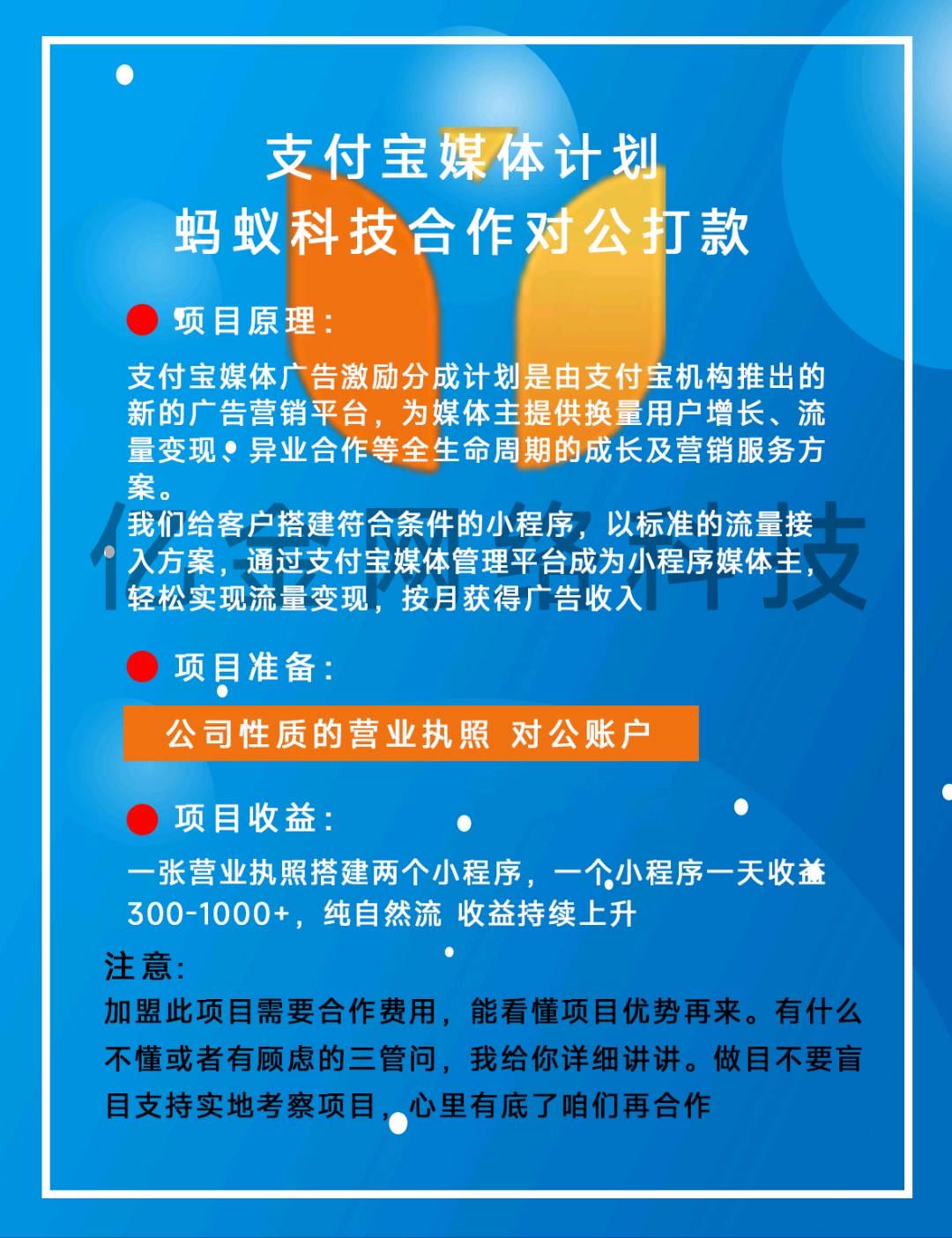 张先生支付宝小程序 广告联盟 抖音小游戏源头技术