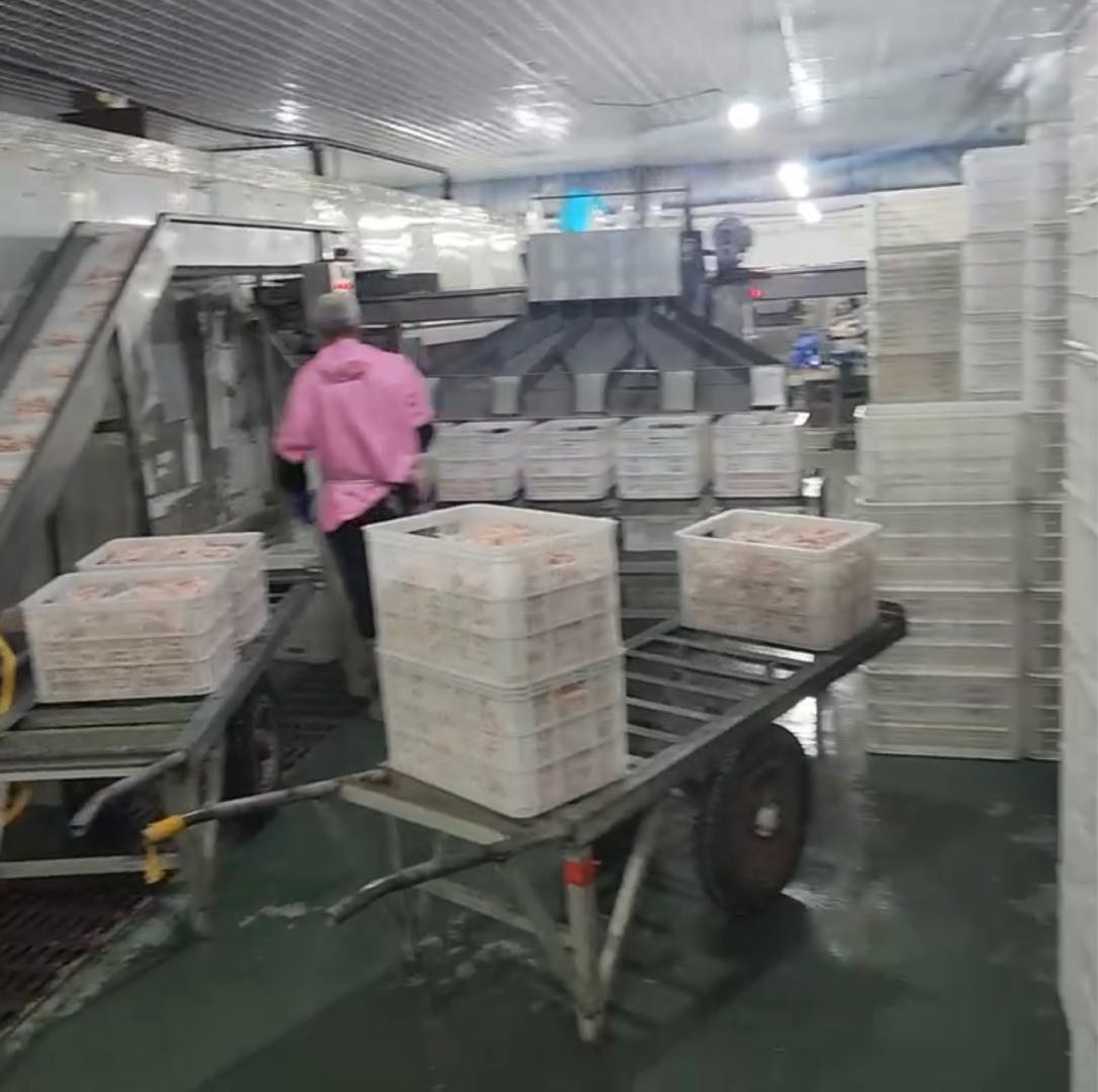 杨先生品牌货源提供凤爪资源，寻求购买商