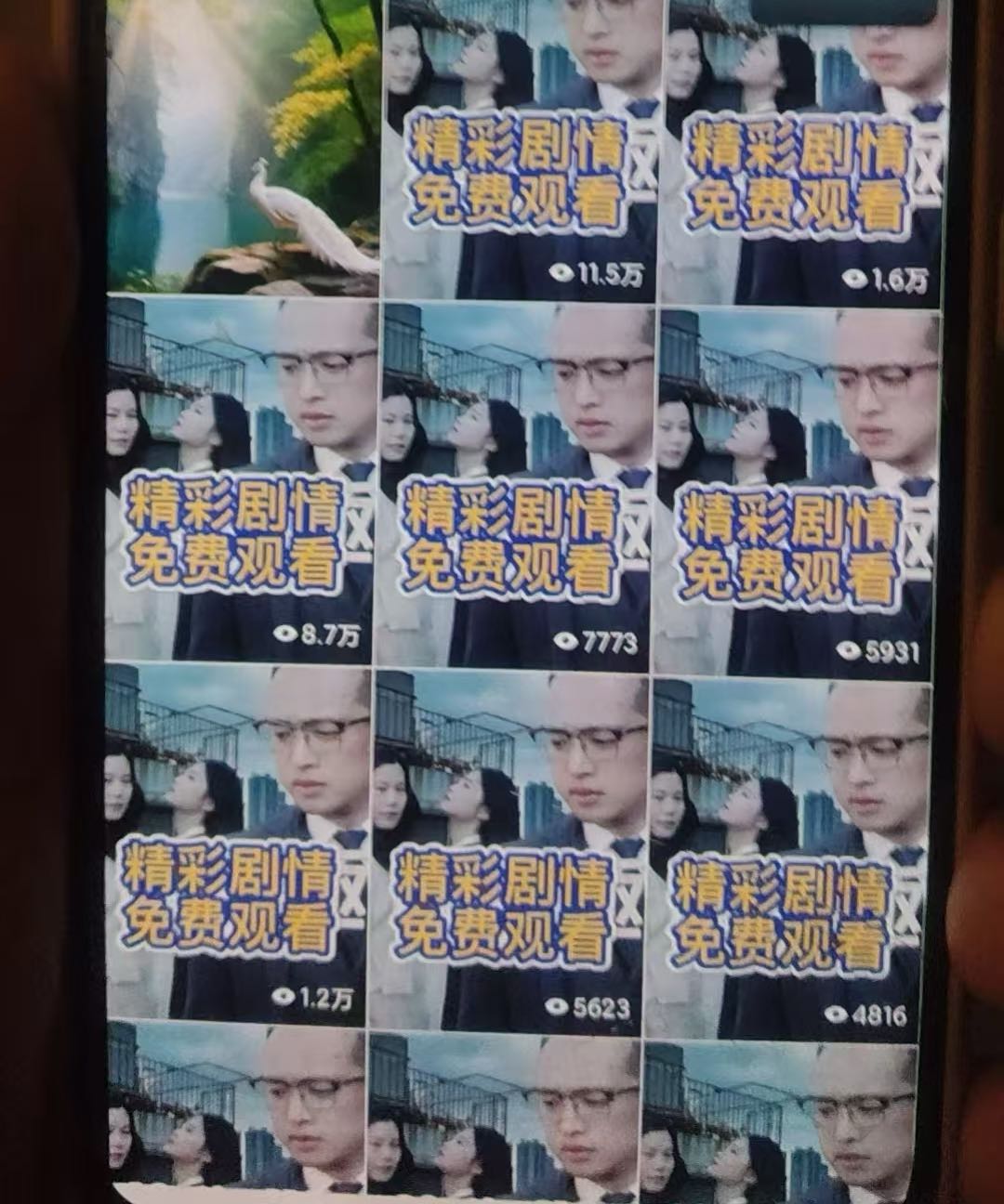 张女士其他供需寻找视频号短剧推广合作，提供免费授权与一对一陪跑，适合小白与团队。