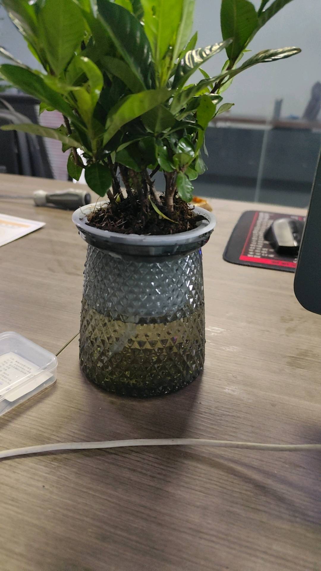 赵先生其他供需0费用0成本，刷视频赚米，
有电脑有手