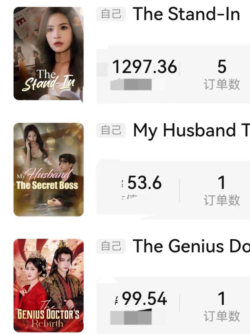 任女士TikTok短剧出海 合伙人