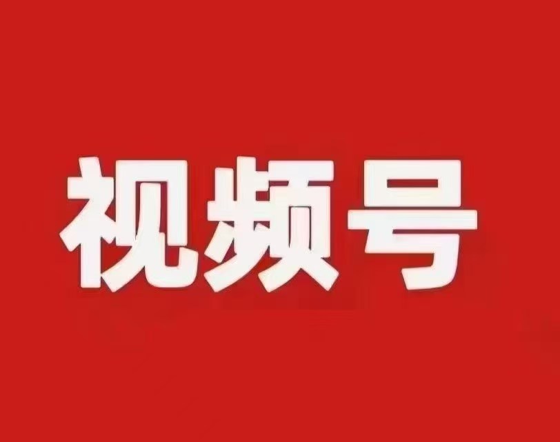 刘子豪找合伙人