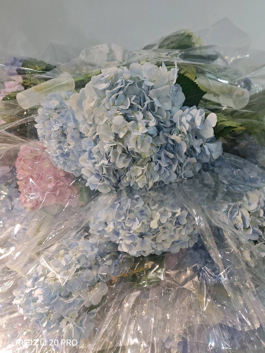 唐云嵩品牌货源