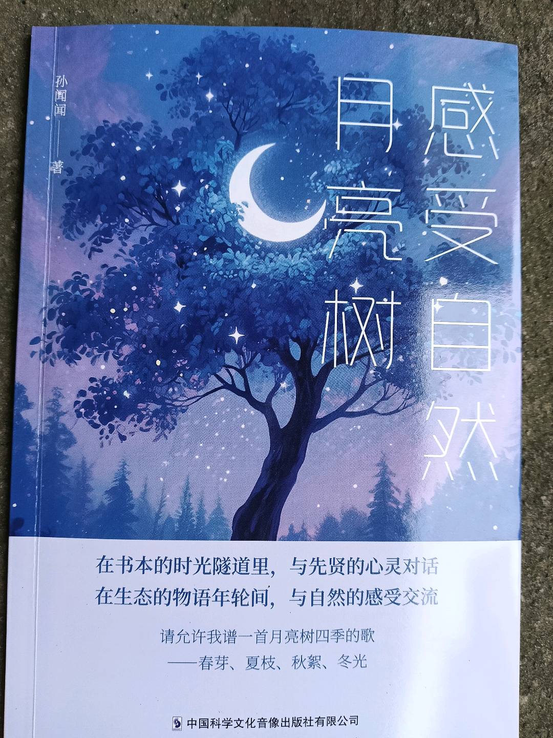 孙闻闻品牌货源全 感受自然-月亮树 文学/小说类适合自用、送人、小书店囤货
