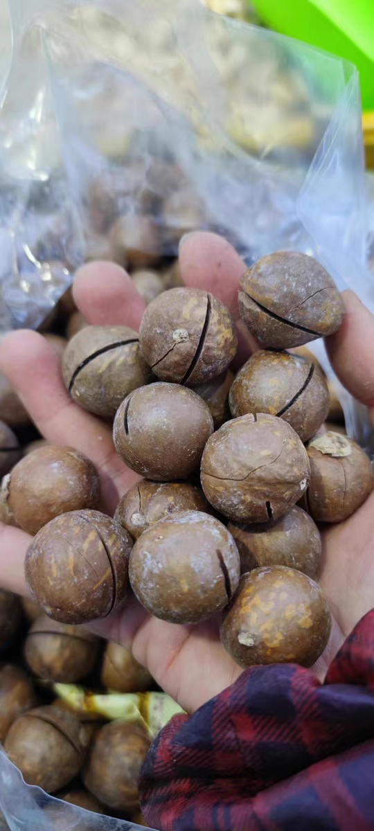 侯嘉伟品牌货源