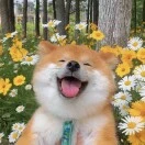 唐鑫