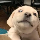 易先生