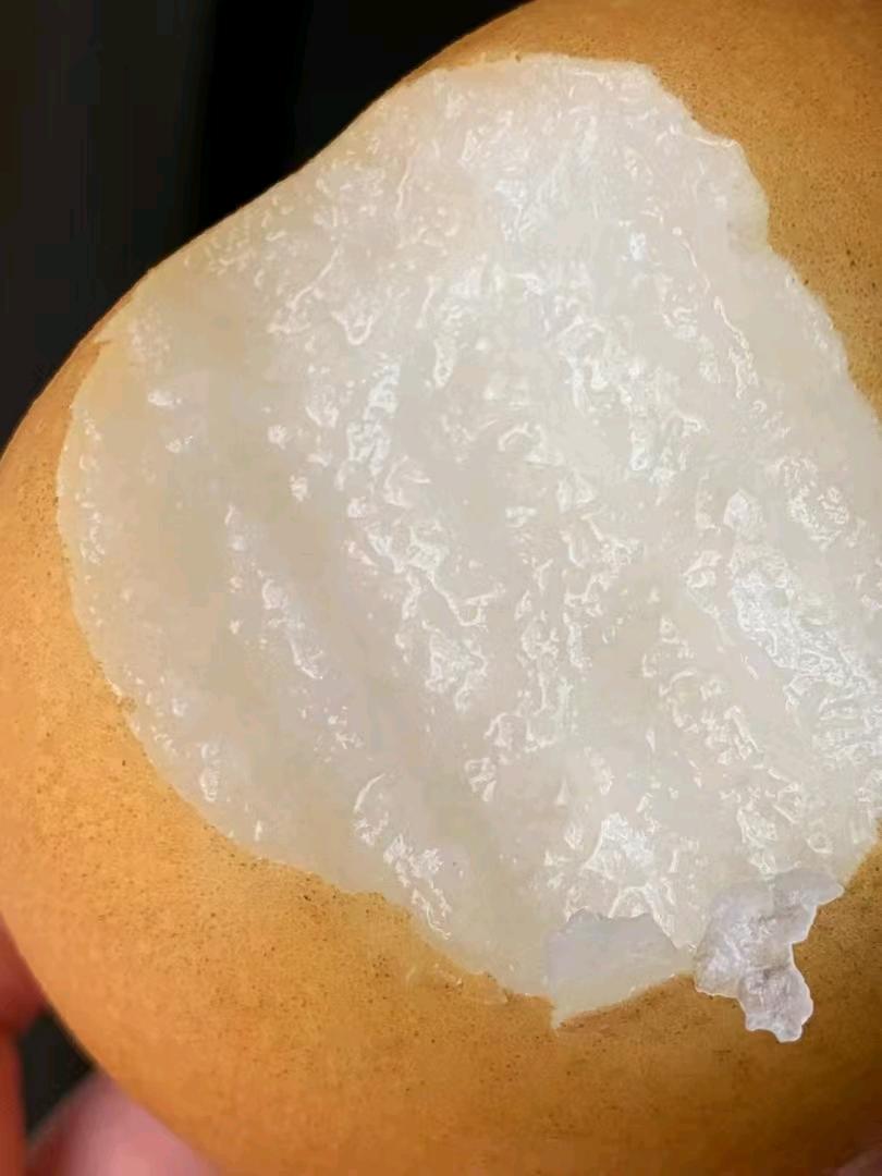鞠先生品牌货源山东莱阳莱西秋月梨