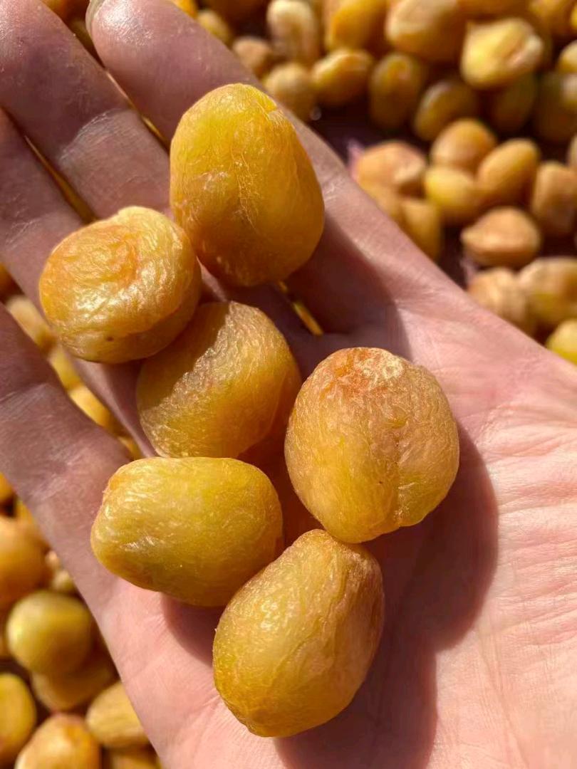 程先生品牌货源优质新疆葡萄干及新疆特产，寻找采购、批发及节日礼盒合作！