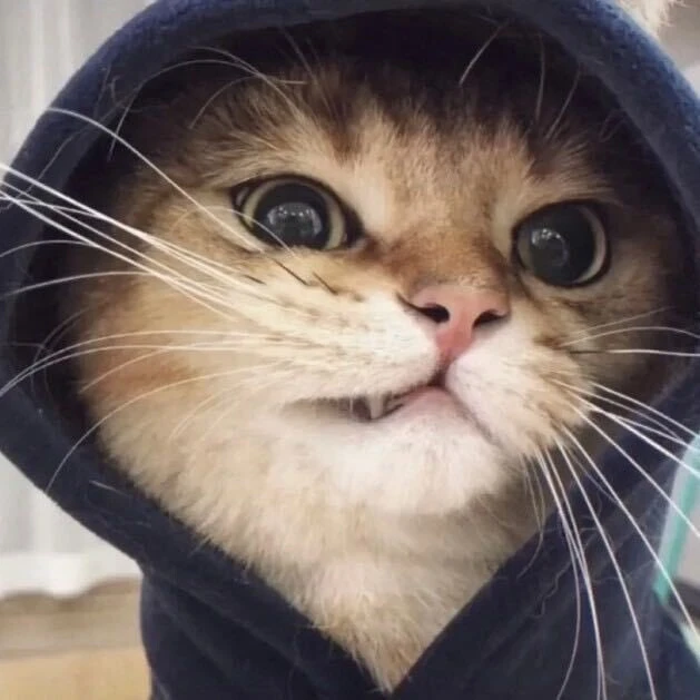 羊卓宇
