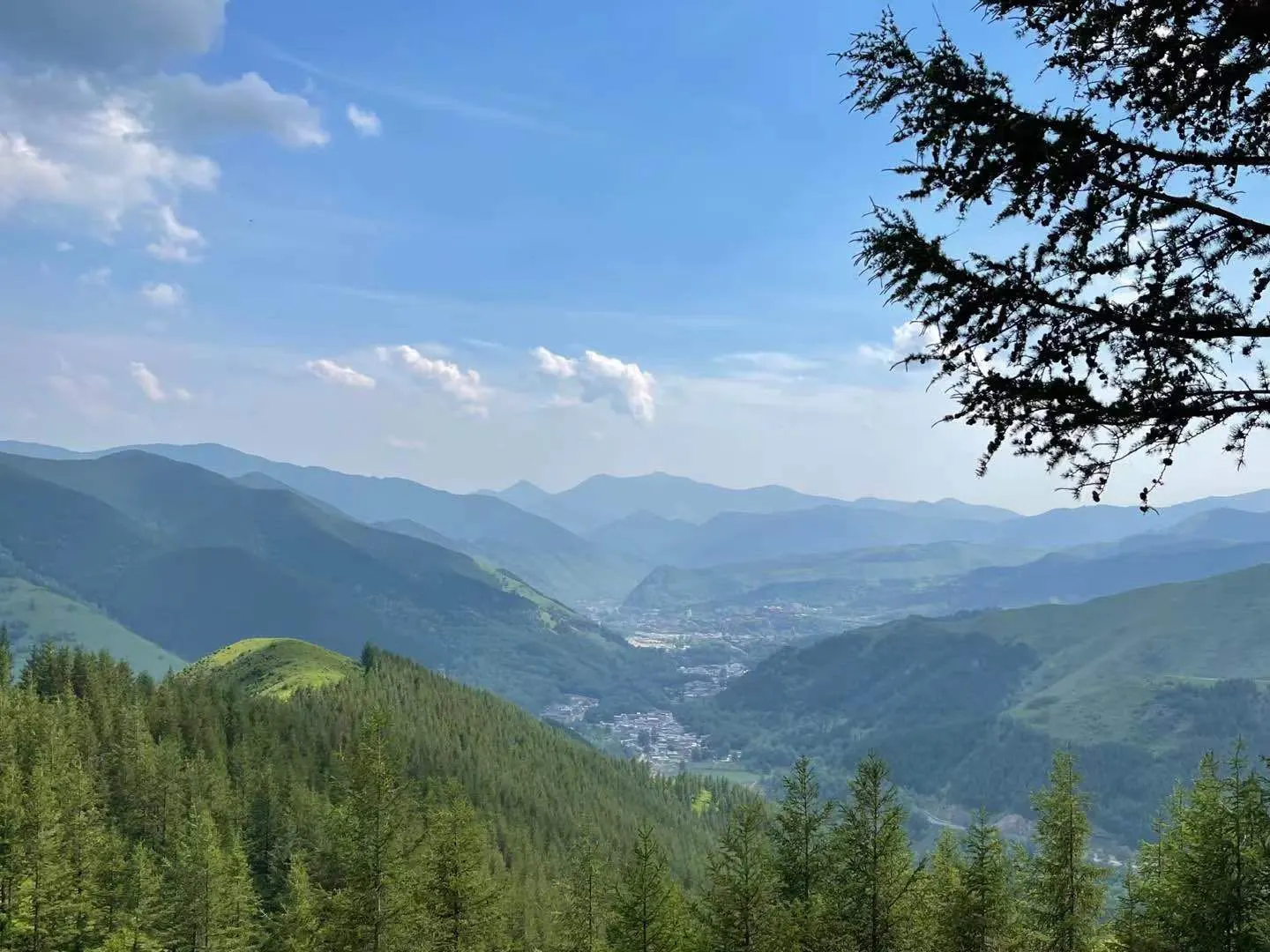 u客直谈实名认证卢先生