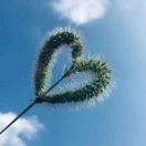 李先生