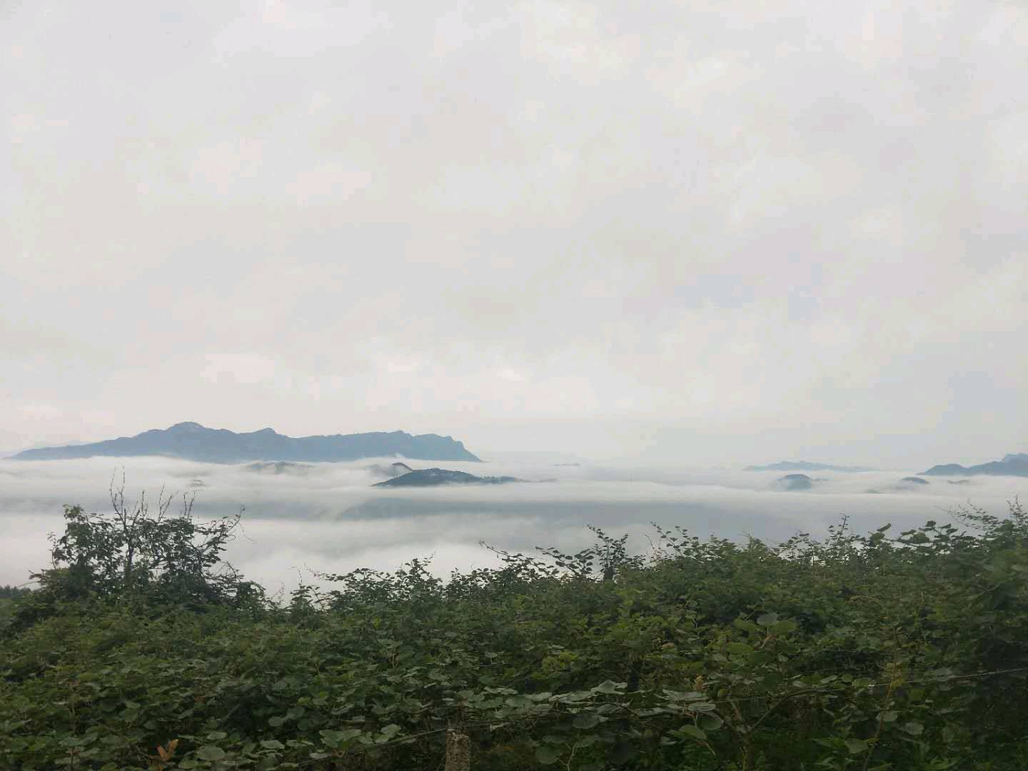 熊烝煦贵州道真避暑山庄，金佛山脉，到重庆高速1小时左右