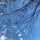 u客直谈实名认证袁彬峰