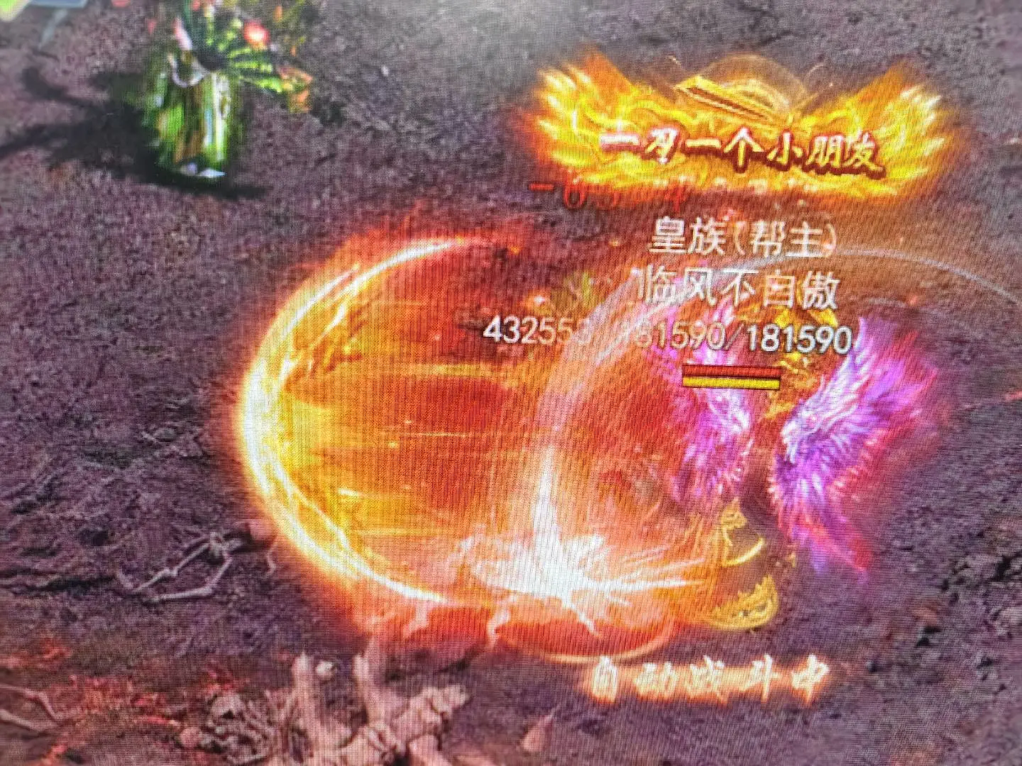 刘宇航找合伙人全新开服游戏打米项目,操作简单:日结