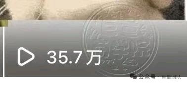 谢女士其他供需小说推文、短剧、专业团队带教，0基础也可快速上手