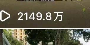 王先生找合伙人小说推文项目，绿色稳定，独立后台，时间自由，操作简单，一天*