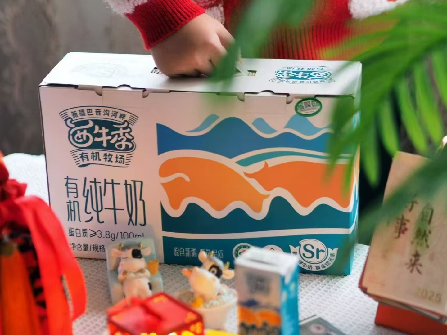 新疆牛奶 选择西牛季有机纯牛奶,健康生活新体验【品牌货源】资源图片4