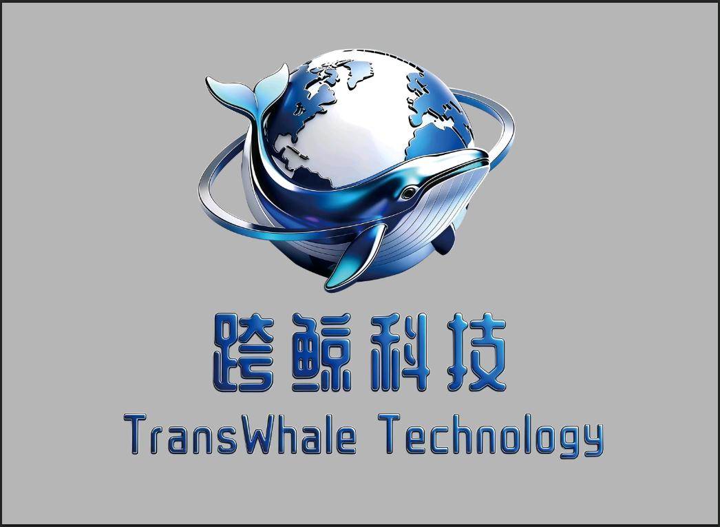 王先生找合伙人海外本土TikTok跨境电商，自有本土工厂项目正在红利期
