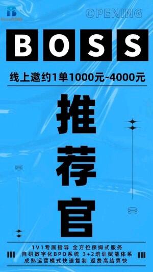 何先生找合伙人boss推荐官项目