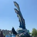 u客直谈任先生