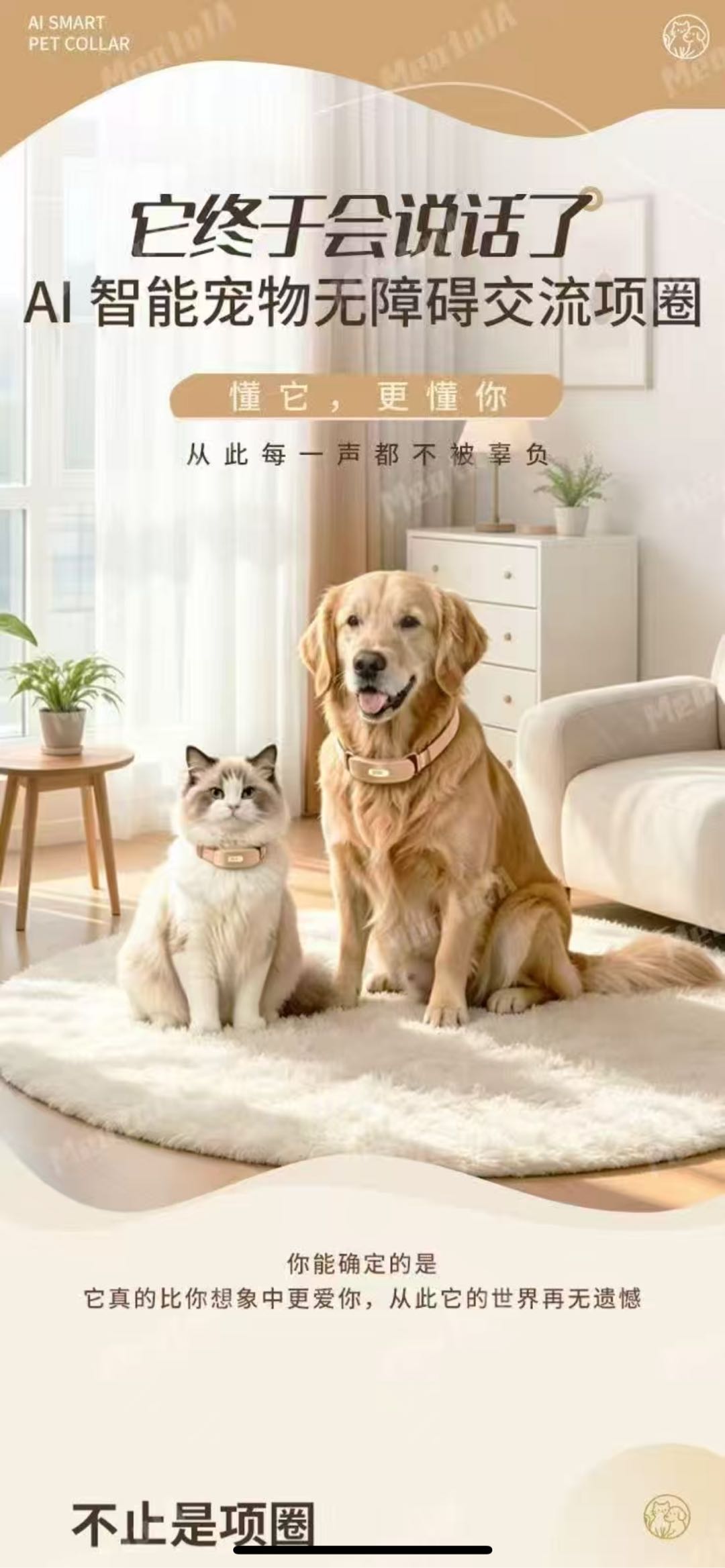 车先生找合伙人中科大开发，Ai宠物项圈
