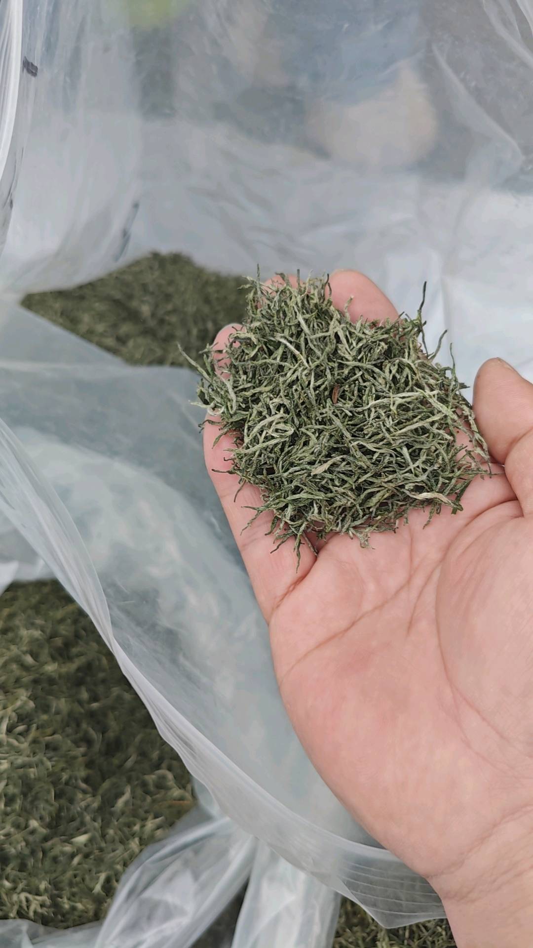 周银龙品牌货源