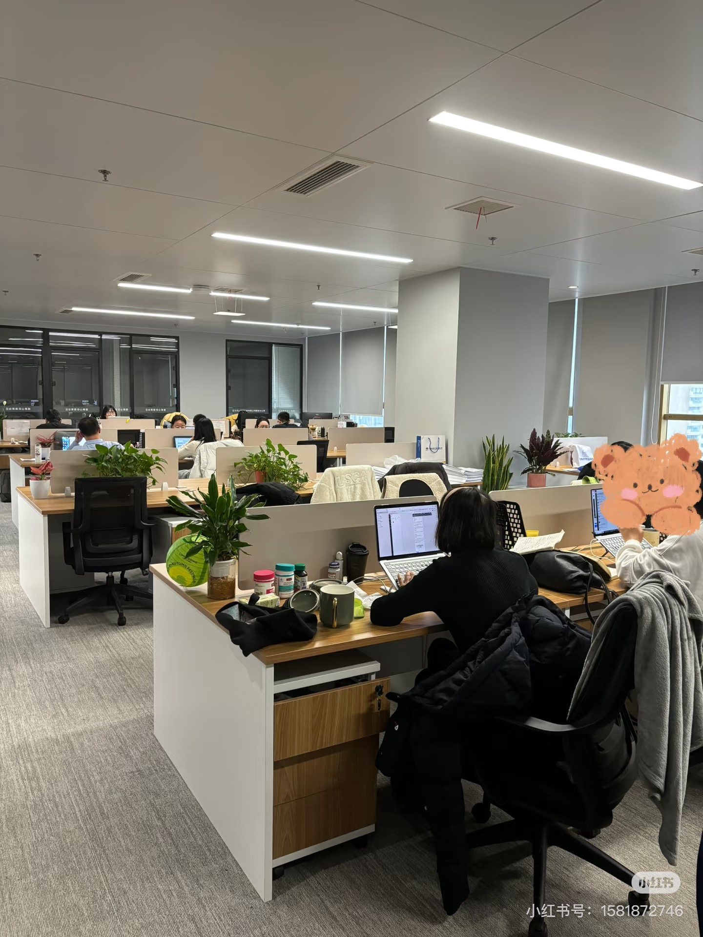 刘野正规支付宝推广 一单一结 家附近2公里内 