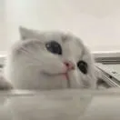 张博豪