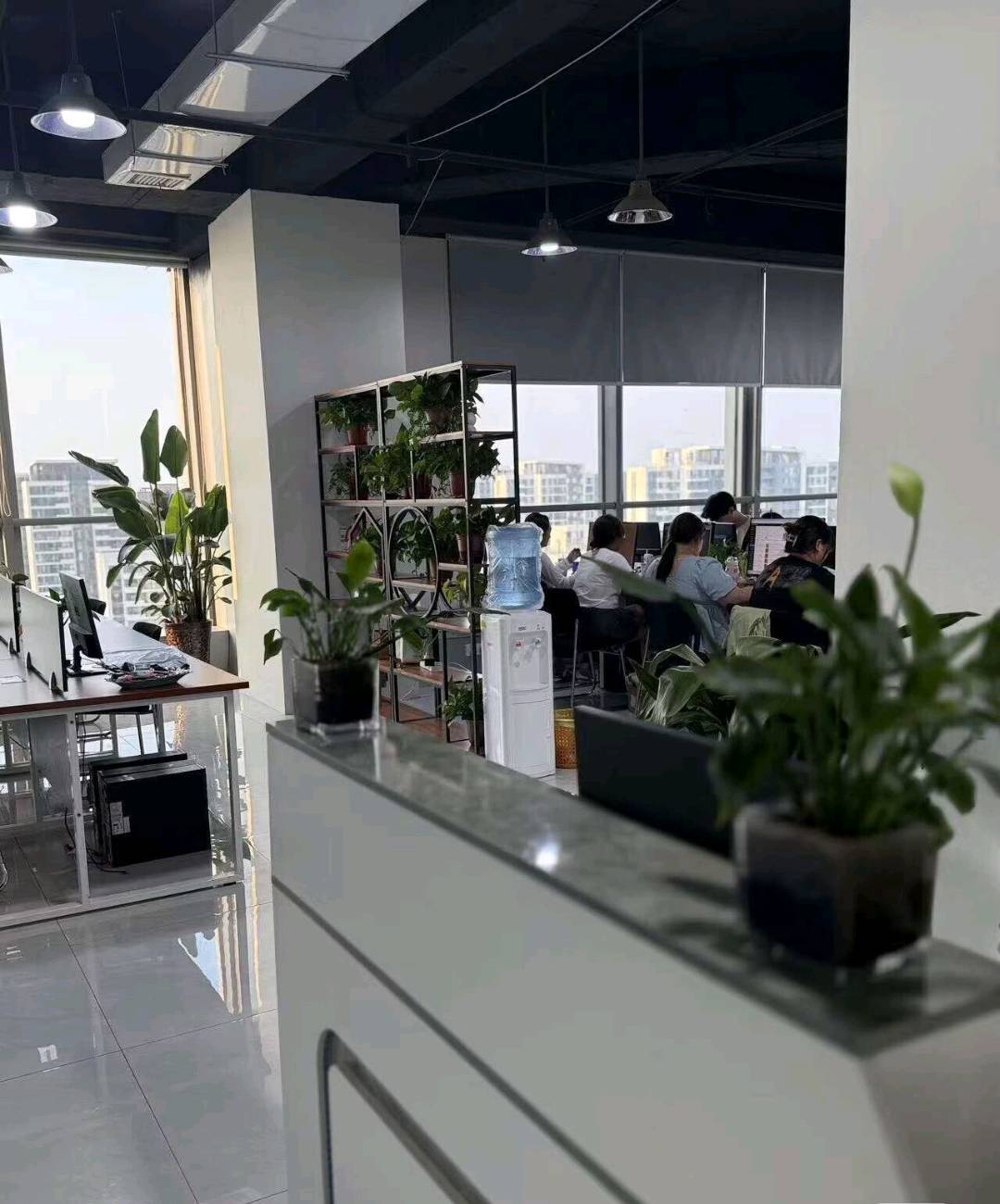 吴昆余找合伙人拼多多网店运营,我供你卖