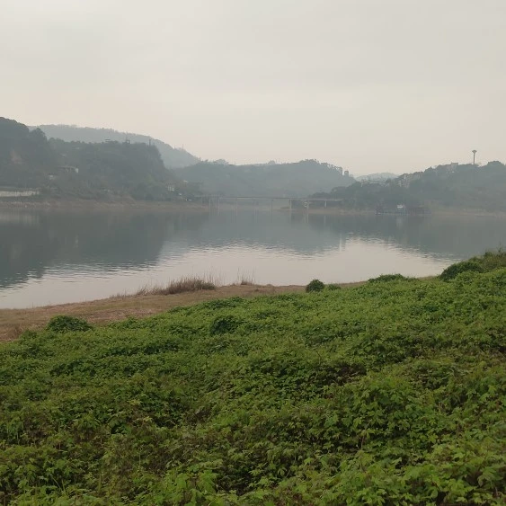 u客直谈实名认证袁先生