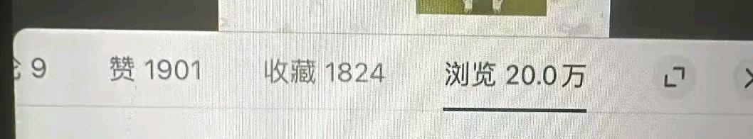 李女士其他供需小说推文项目合作，全国不限地点，一部手机就可做