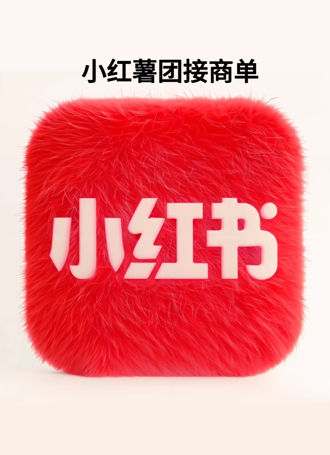 刘先生推广团队小红书团接单
