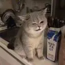 u客直谈实名认证潘家康