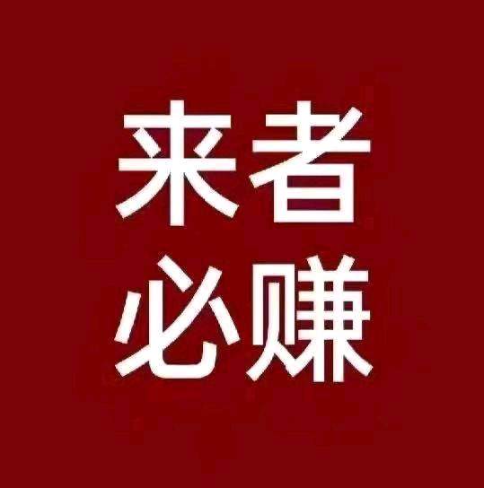 张先生找合伙人免费带手机电脑搬砖项目，0费用、无任何隐藏费*，日结