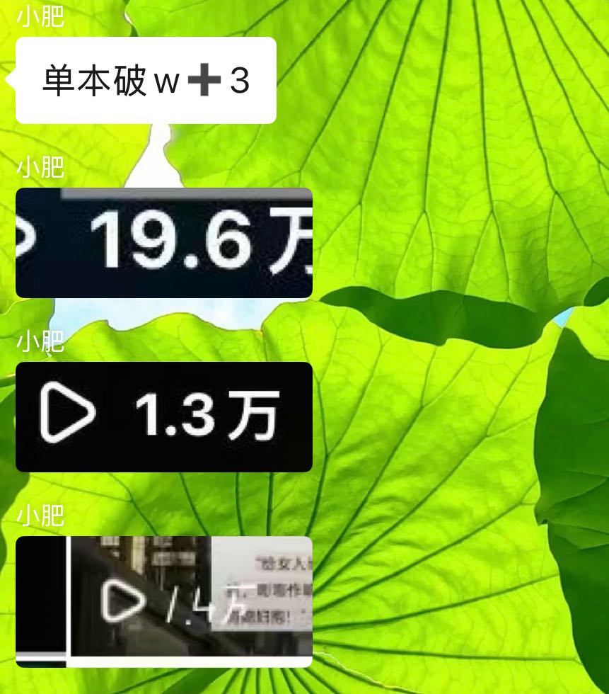 温女士其他供需