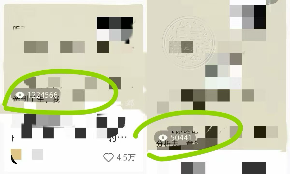 李丹妮找合伙人