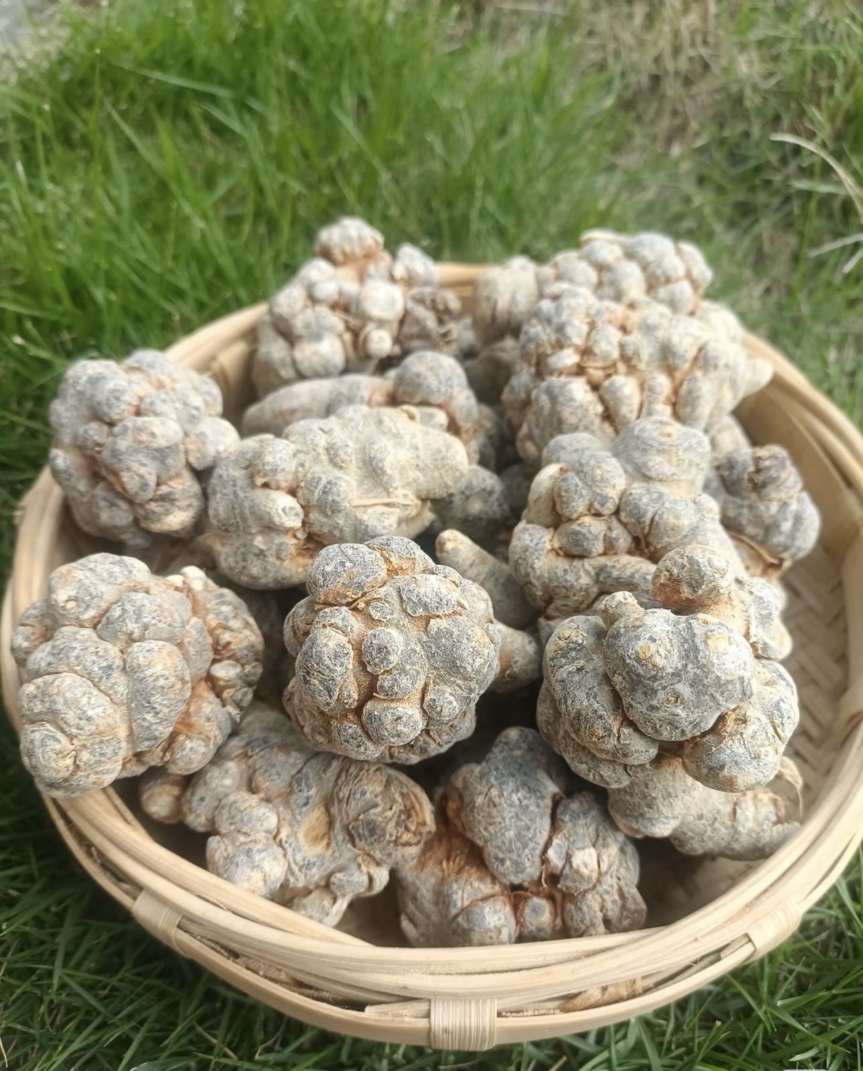 张淑光品牌货源