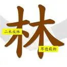 林先生