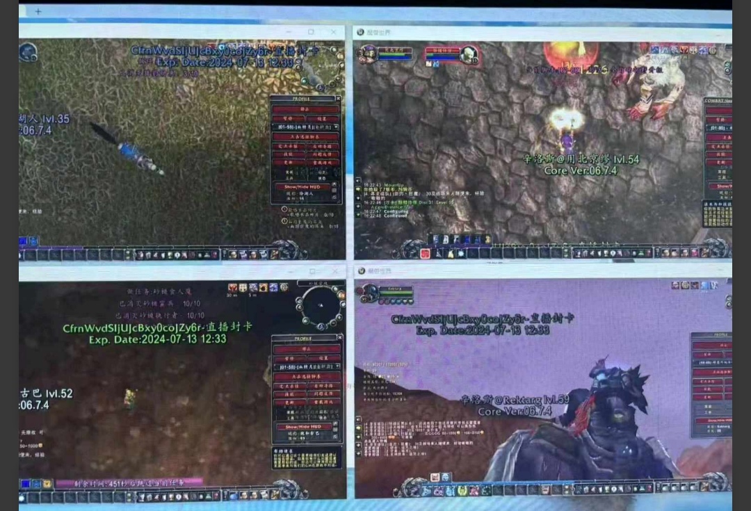 于贺龙找合伙人魔兽打金日入*