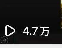 张女士找合伙人