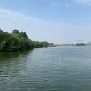刘先生