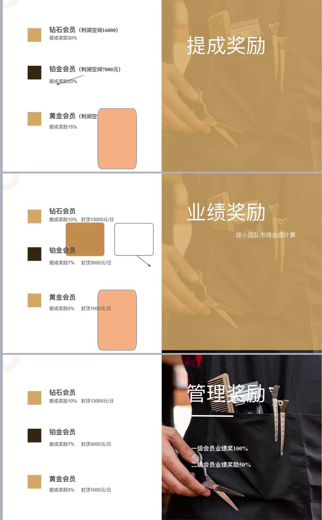 张艳秋找合伙人