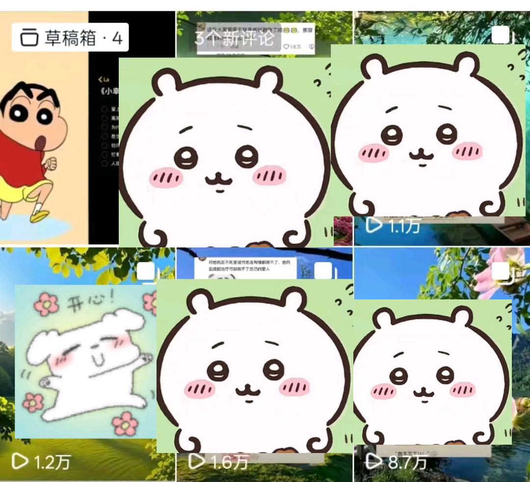 曾女士其他供需抖音代发 零成本 绿色 日结正规 量大一直需要