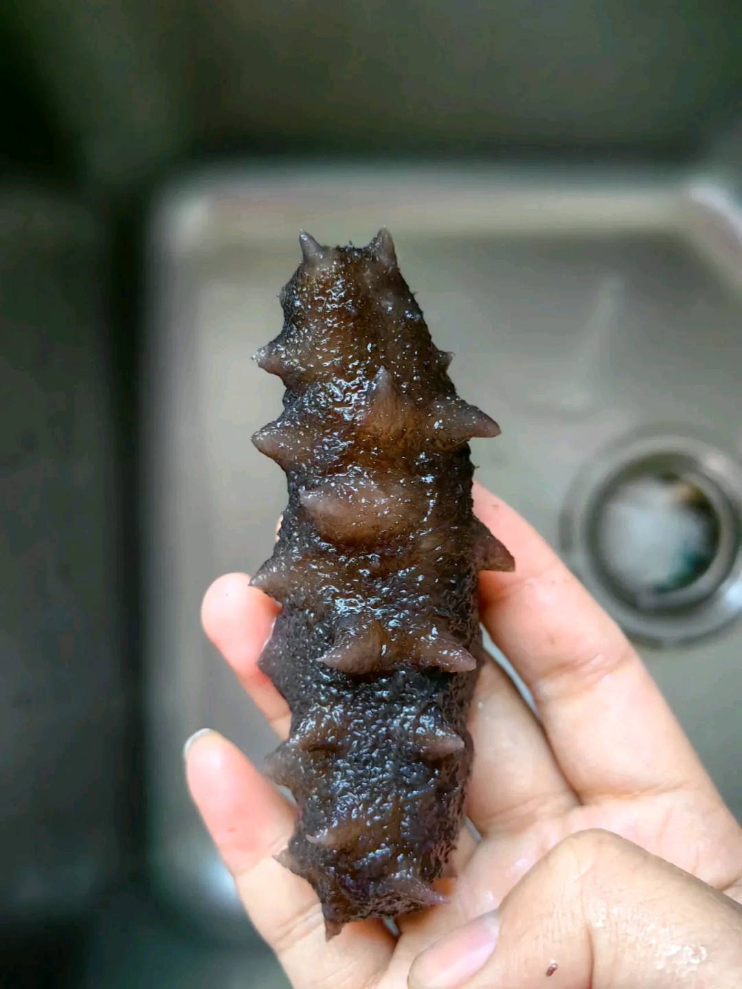 沈亮品牌货源我公司在河北养殖海参，有厂房，有养殖场，现有大量海参，需要的联系