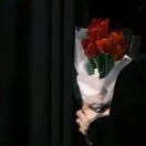 付鑫