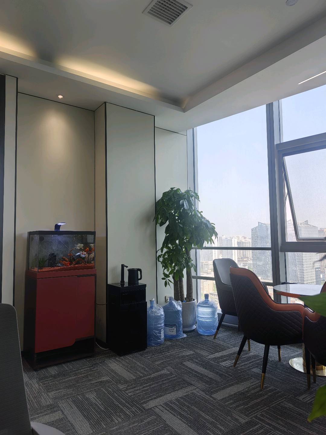 石婷婷找合伙人