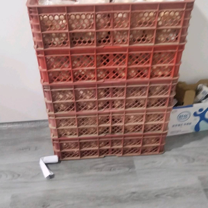 刘晓辉