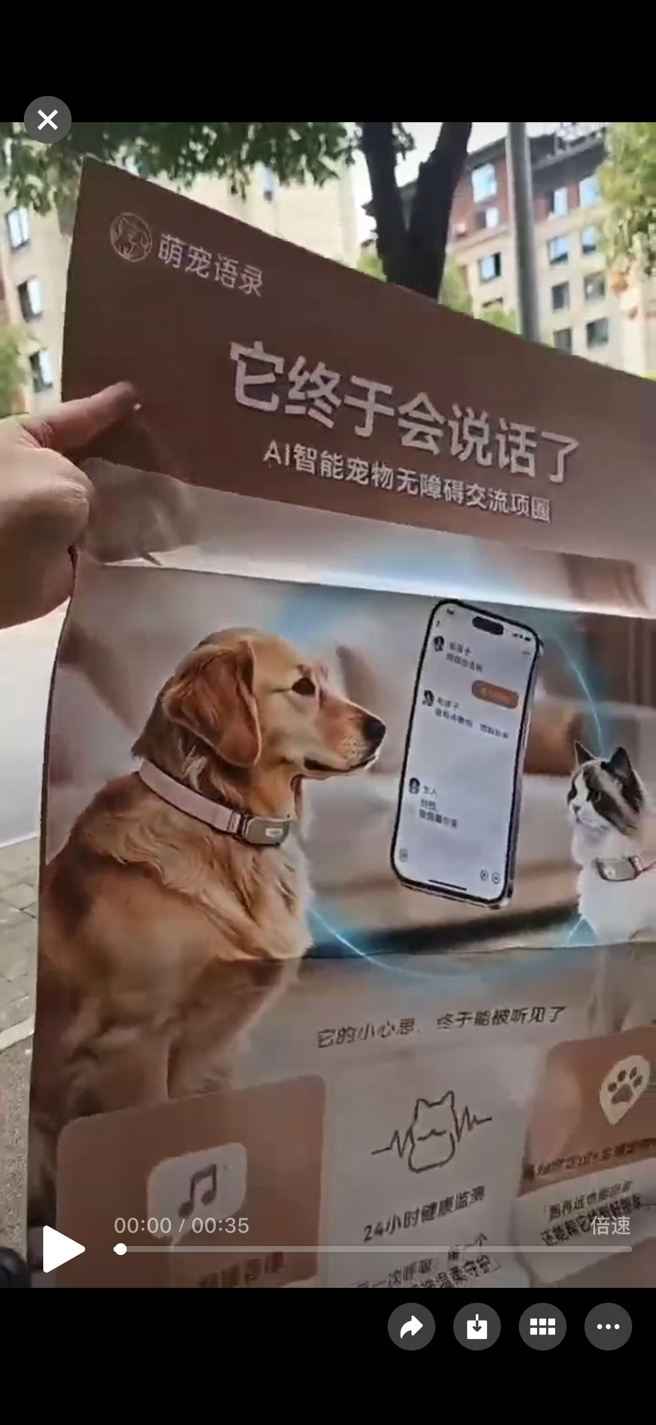 闫女士地推项目宠物智能人工智能ai项圈黑科技